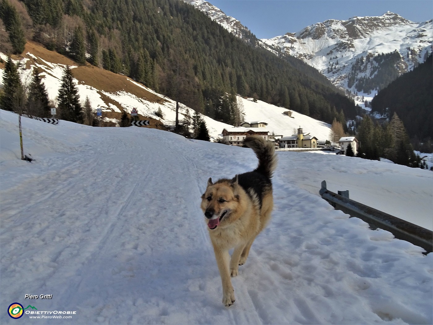 11 Bello pestare la morbida fresca neve alla Madonna delle nevi.JPG